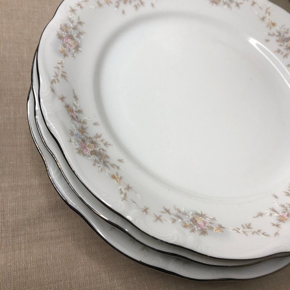 Set of 3 Vintage China Dinner Plates Haviland